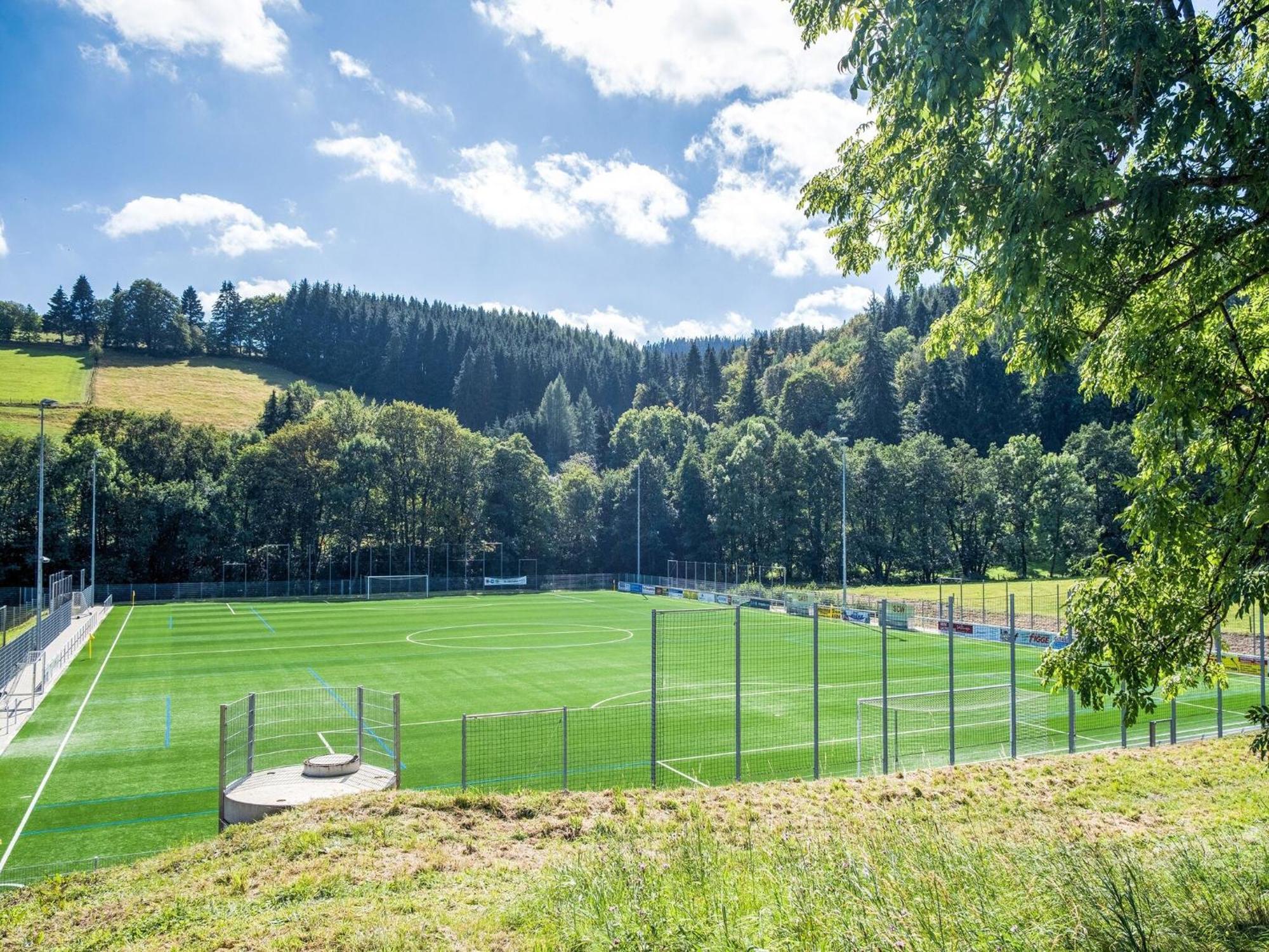 Modern Apartment In Schwalefeld With Garden Willingen  Eksteriør billede