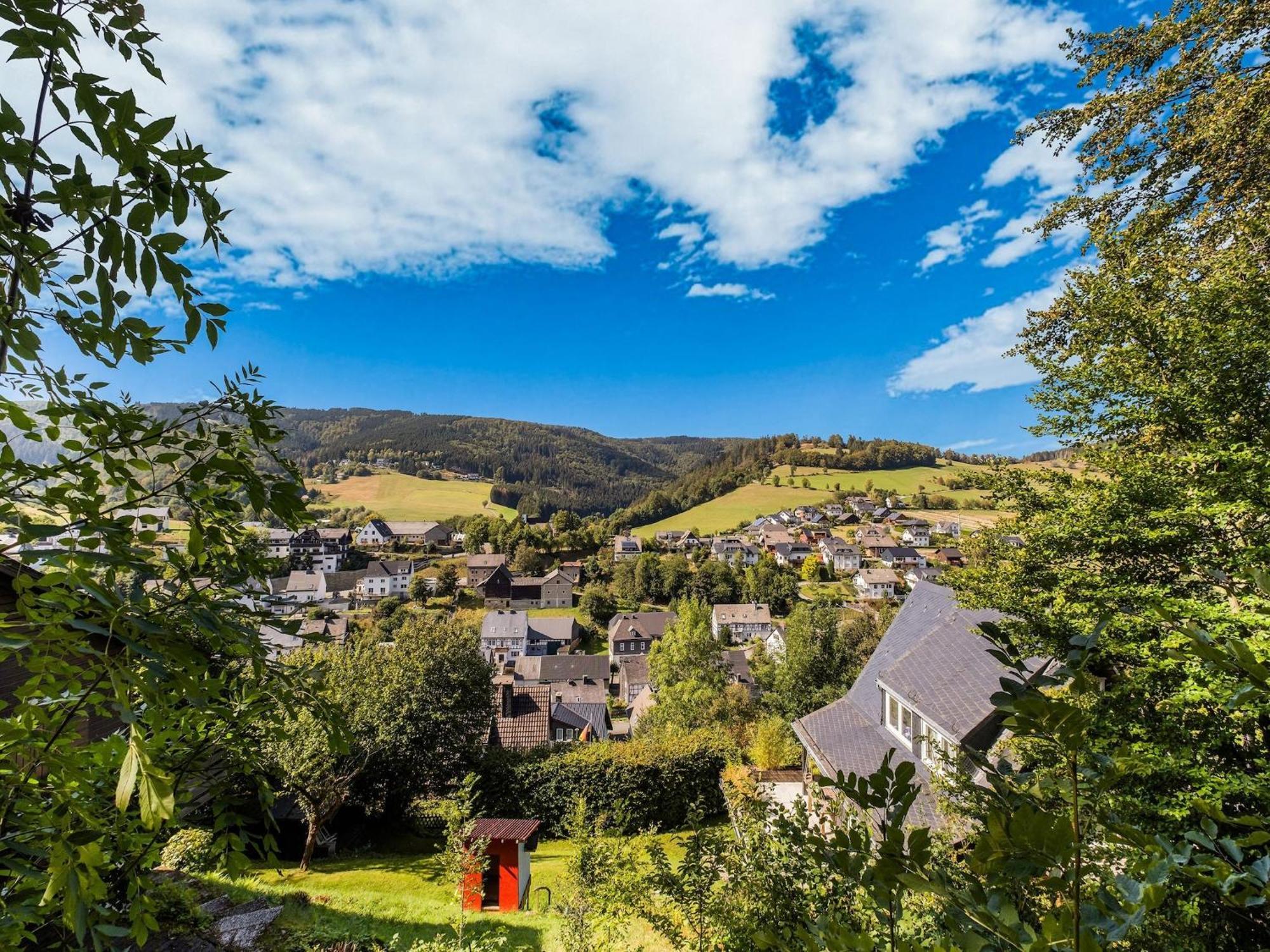 Modern Apartment In Schwalefeld With Garden Willingen  Eksteriør billede